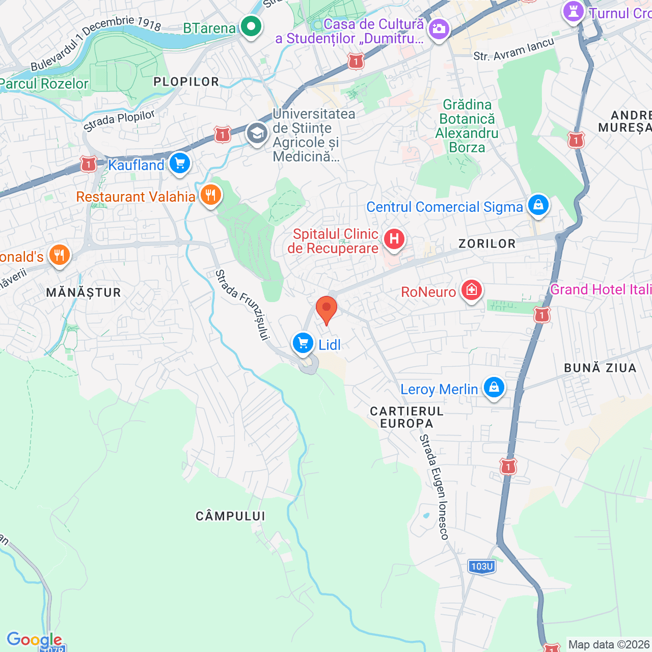 Poza harta streetview, zoom 14, adresa Cluj-Napoca, str. Armoniei, nr. 4, , judetul