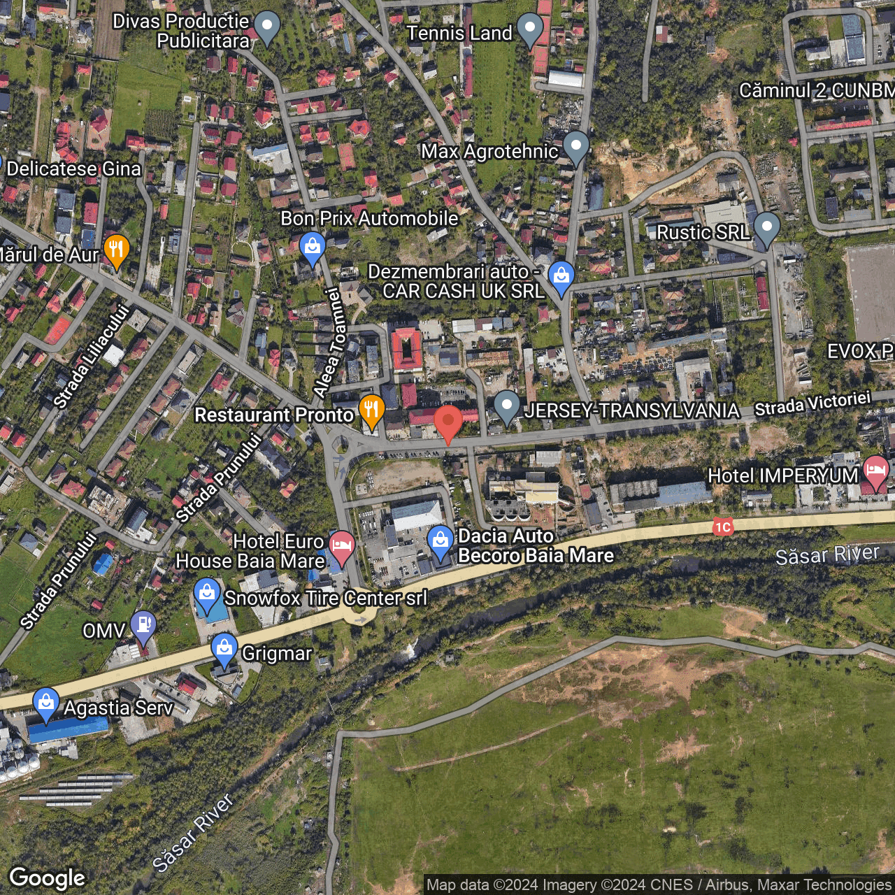 Poza harta hybrid, zoom 16, adresa Baia Mare, str. Victoriei, nr. 81V, , judetul