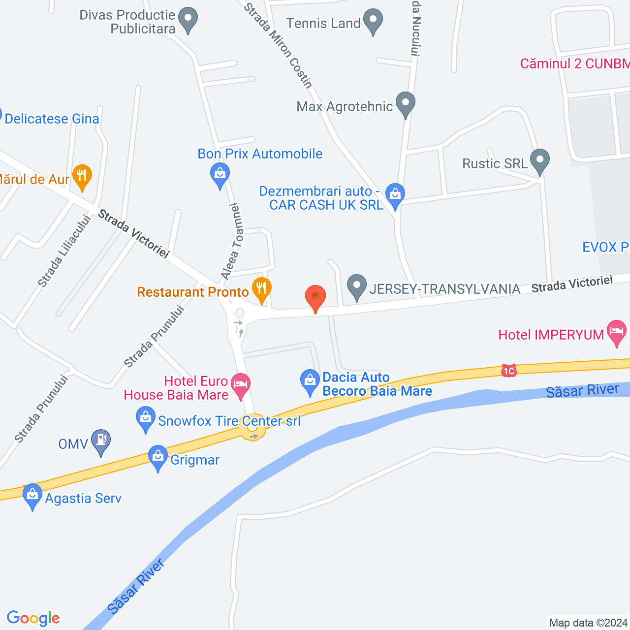 Poza harta streetview, zoom 16, adresa Baia Mare, str. Victoriei, nr. 81V, , judetul