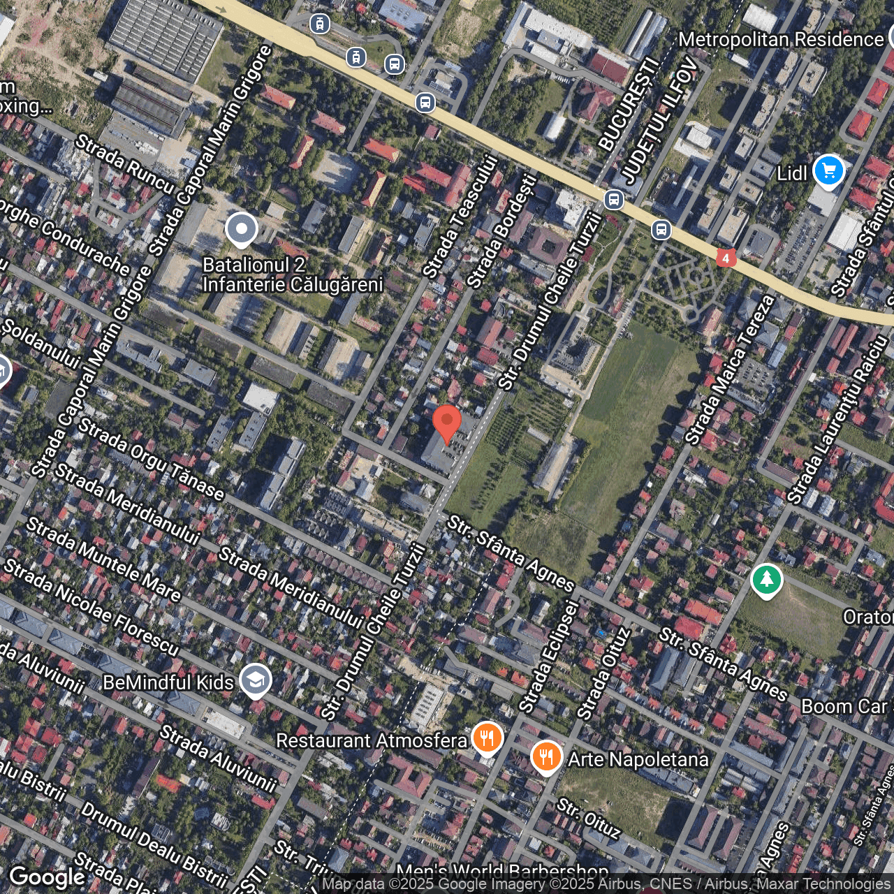 Poza harta hybrid, zoom 16, adresa Bucuresti, Drumul Cheile Turzii nr 125, , judetul