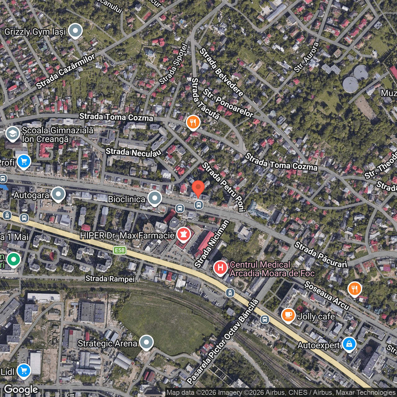 Poza harta hybrid, zoom 16, adresa Iasi, str. Pacurari, nr. 122, , judetul