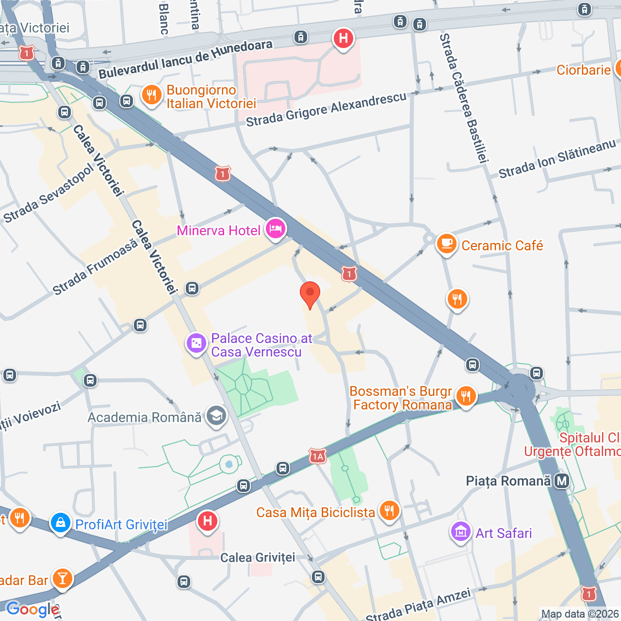 Poza harta streetview, zoom 16, adresa Bucuresti, str. Henri Coanda nr. 17, , judetul