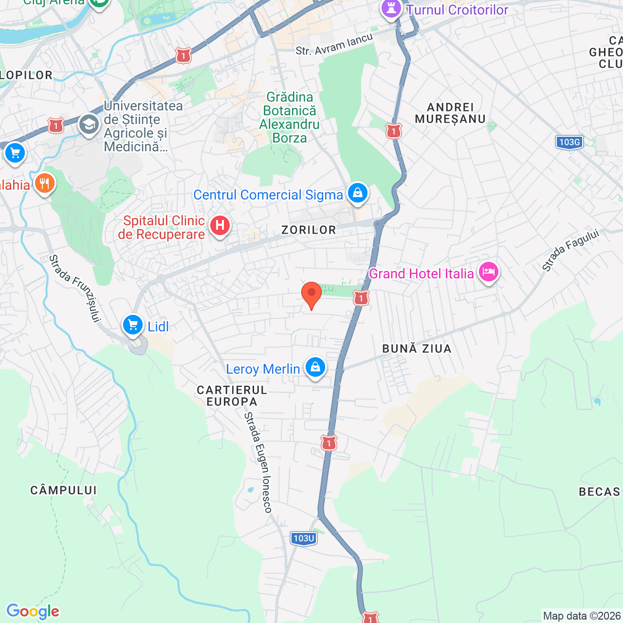 Poza harta streetview, zoom 14, adresa Cluj-Napoca, Str. Constantin Noica, Nr. 12, , judetul