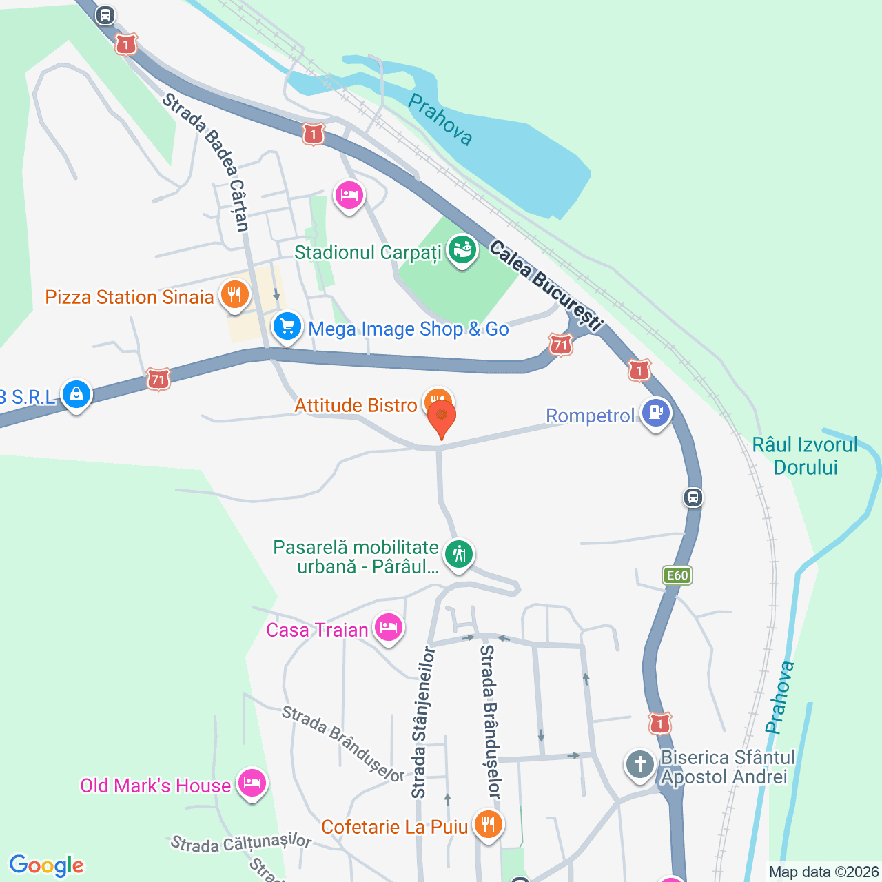 Poza harta streetview, zoom 16, adresa Sinaia, Str. Walter Mărăcineanu, Nr. 20, , judetul