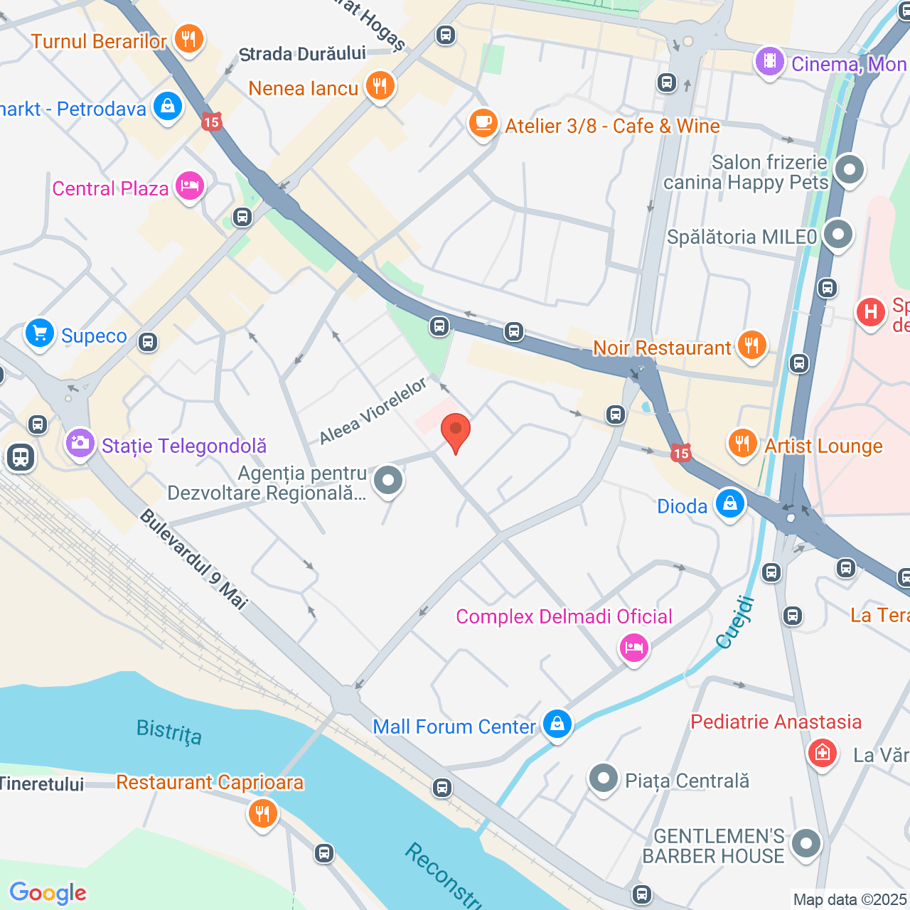 Poza harta streetview, zoom 16, adresa Piatra Neamț, bd. Lt. Drăghescu, , judetul