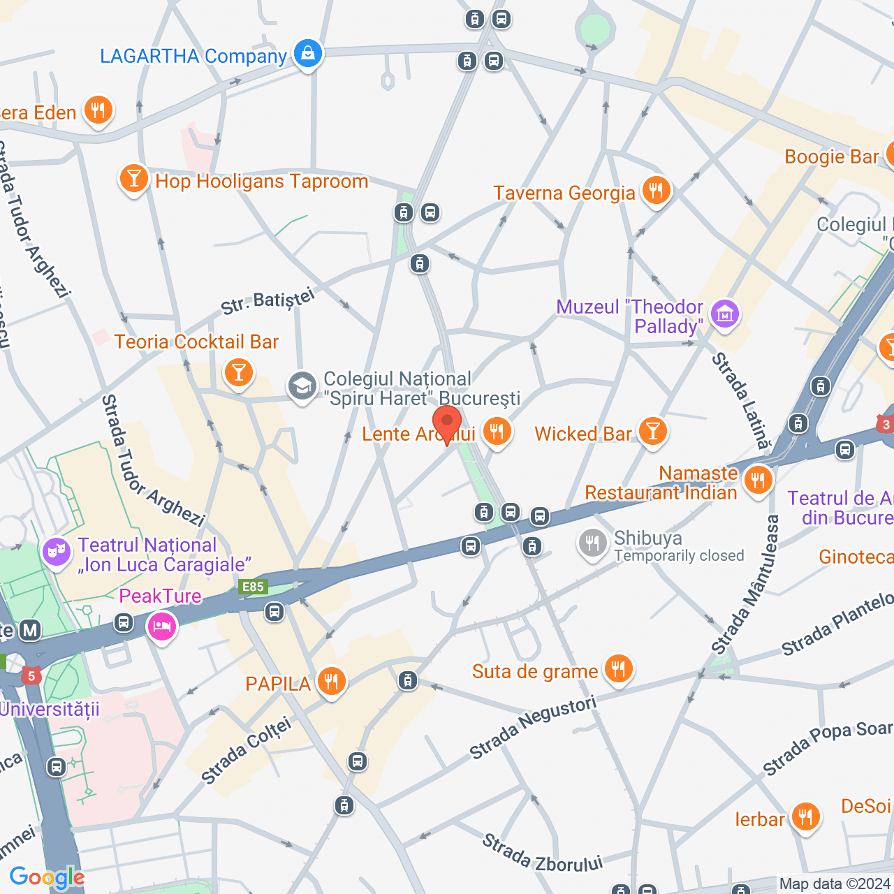 Poza harta streetview, zoom 16, adresa Bucuresti Sectorul 2, Strada SAGETII, Nr.9, , judetul