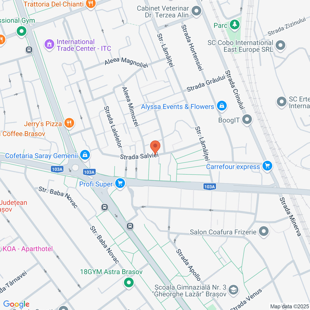 Poza harta streetview, zoom 16, adresa Brașov, Str. Salviei, , judetul