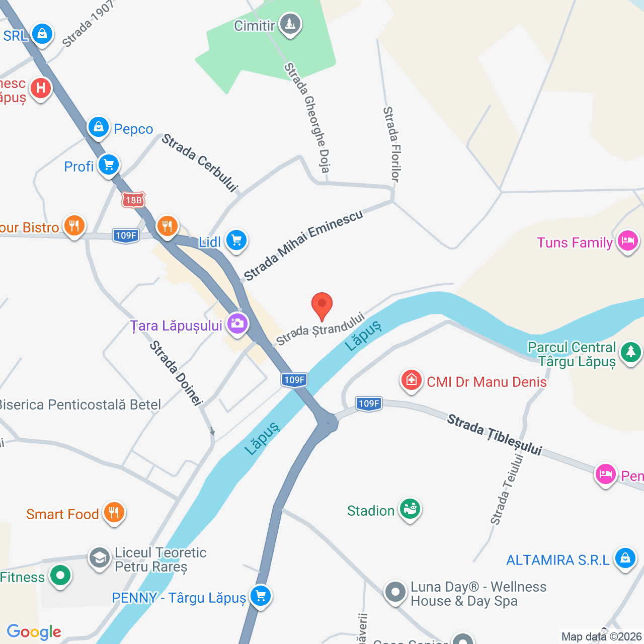 Poza harta streetview, zoom 16, adresa Târgu Lăpuș, pe strada Ștrandului nr. 1, , judetul