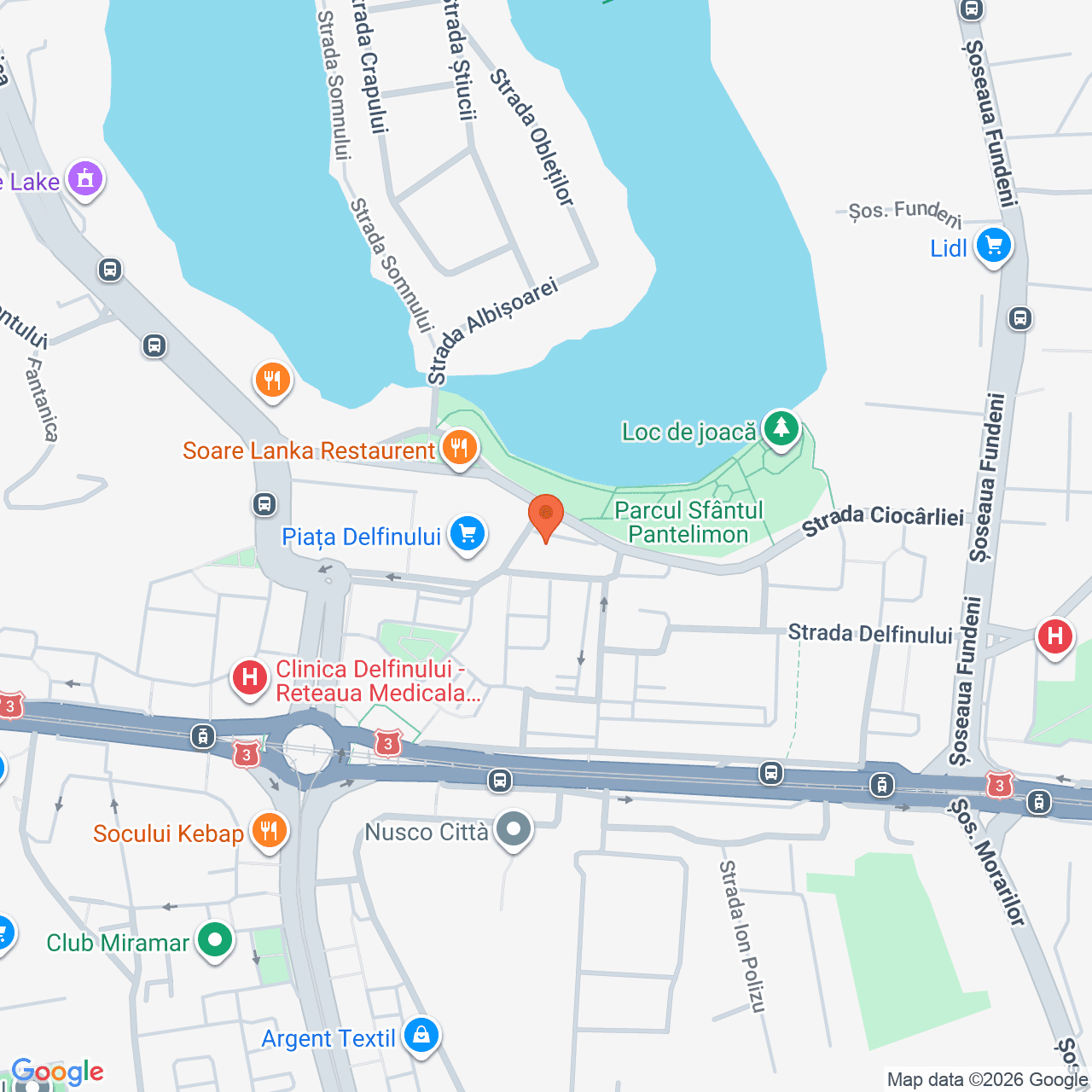 Poza harta streetview, zoom 16, adresa București, str. Ciocârliei, nr. 12, , , judetul