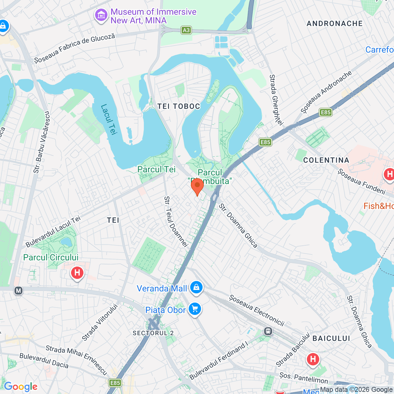Poza harta streetview, zoom 14, adresa Strada Luntrei nr. 10 Bucuresti, , judetul