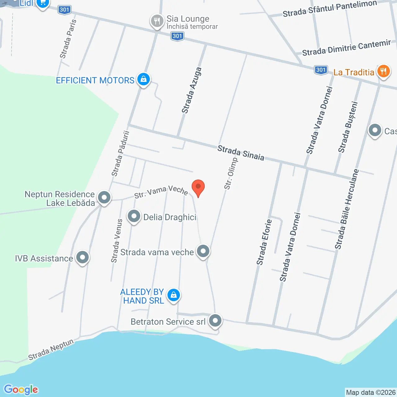 Poza harta streetview, zoom 16, adresa Str. Olimp nr. 8 Pantelimon Ilfov, , judetul