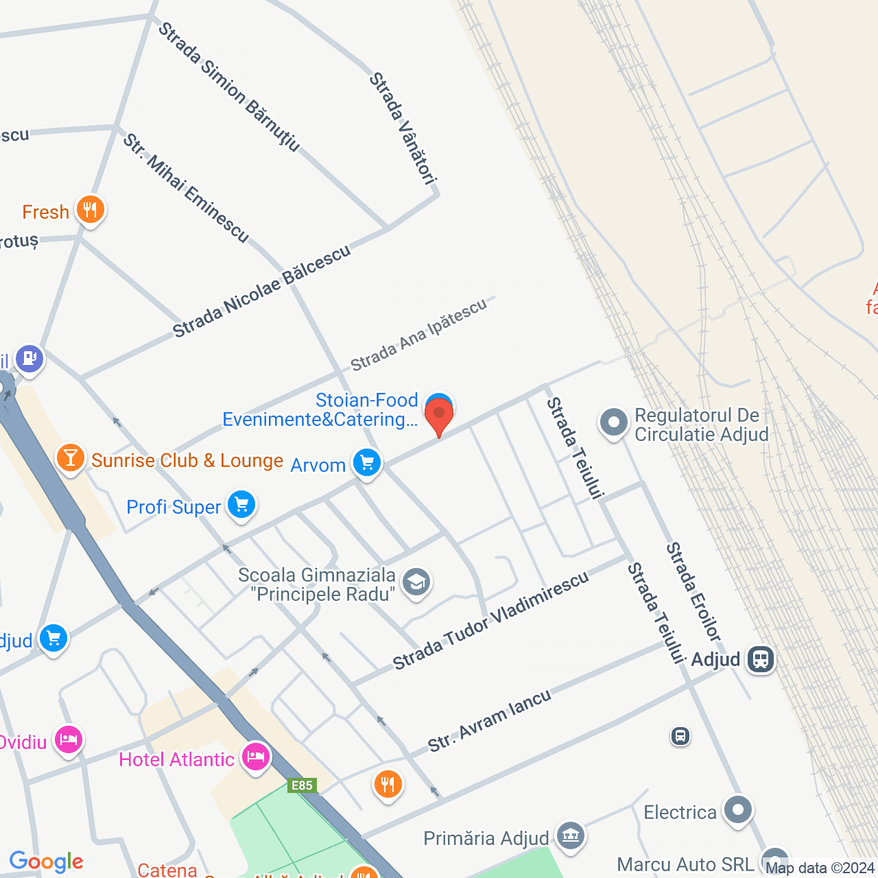 Poza harta streetview, zoom 16, adresa Adjud, str. Siret, nr. 22, , judetul