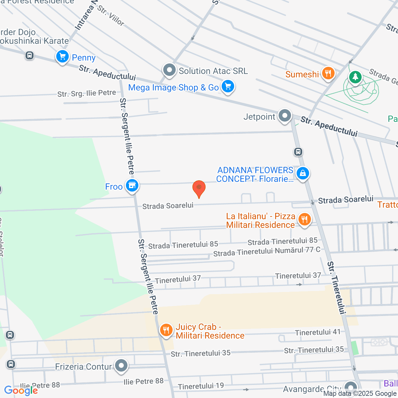 Poza harta streetview, zoom 16, adresa Strada Soarelui, 48, sat Dudu, comuna Chiajna, judetul Ilfov, , judetul