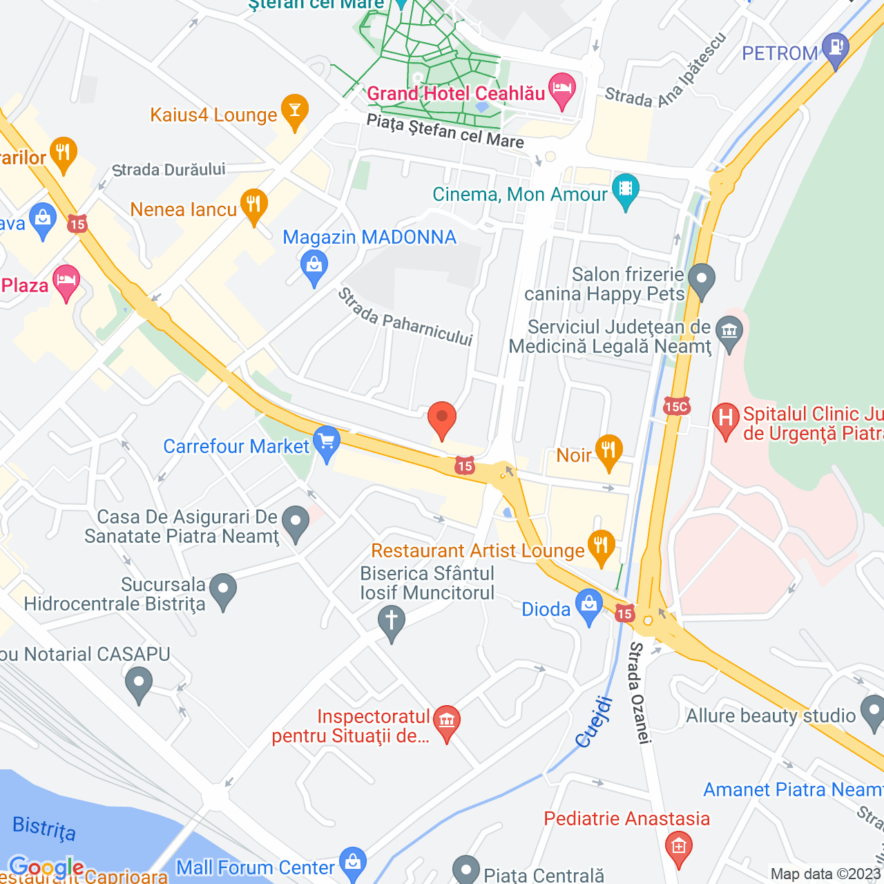 Poza harta streetview, zoom 16, adresa Decebal Piatra Neamt, , judetul