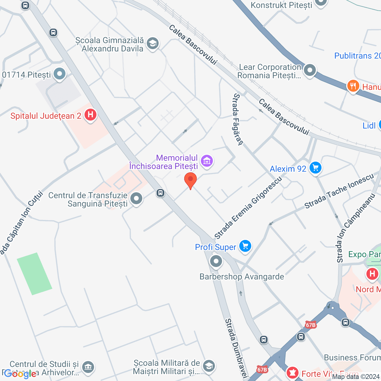 Poza harta streetview, zoom 16, adresa Pitești, Str. Str. Negru Vodă, nr. 30, , judetul
