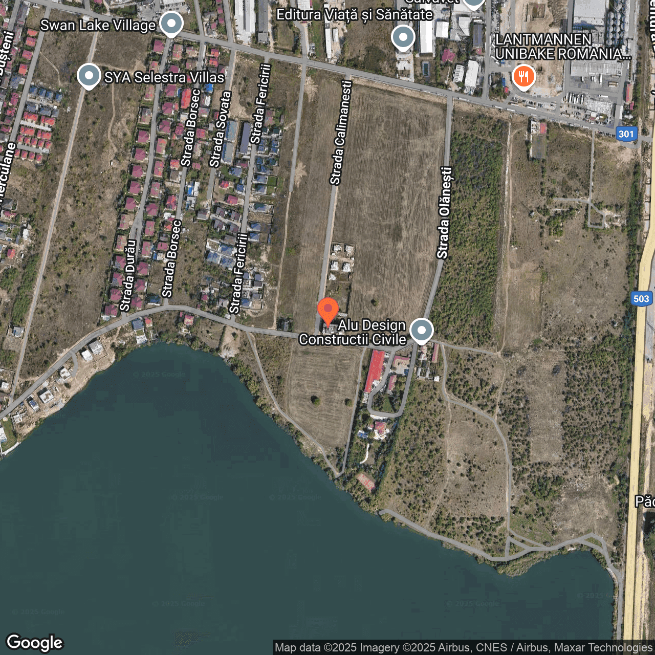 Poza harta hybrid, zoom 16, adresa Pantelimon, str. Calimanesti nr. 3, jud. Ilfov, , judetul