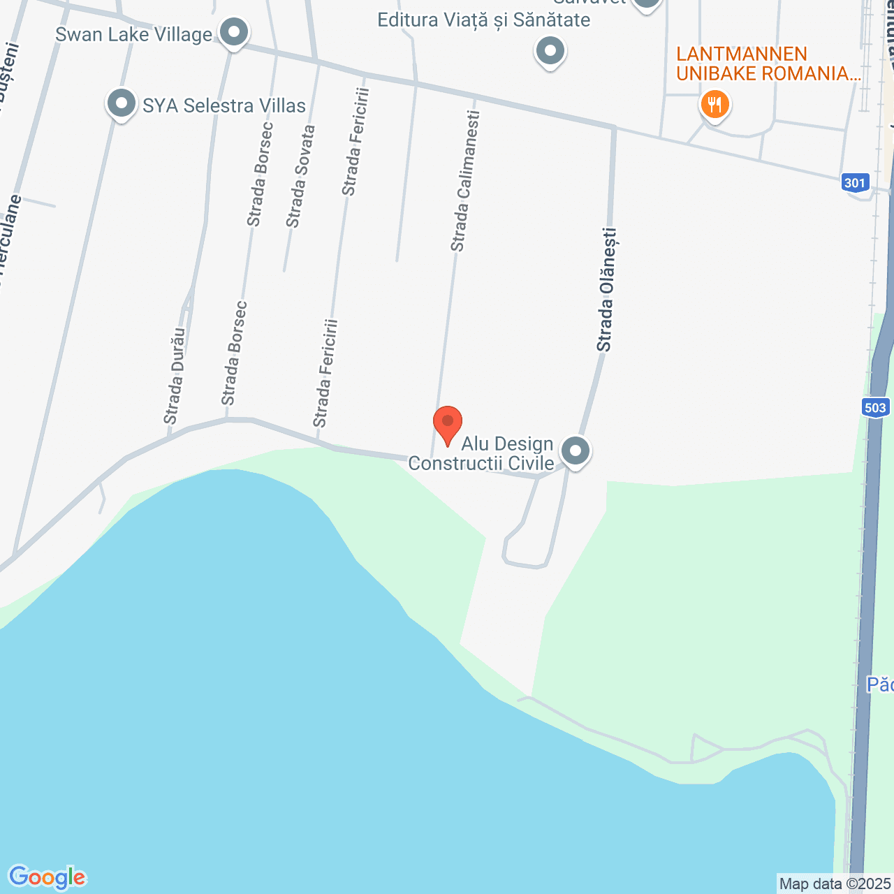 Poza harta streetview, zoom 16, adresa Pantelimon, str. Calimanesti nr. 3, jud. Ilfov, , judetul