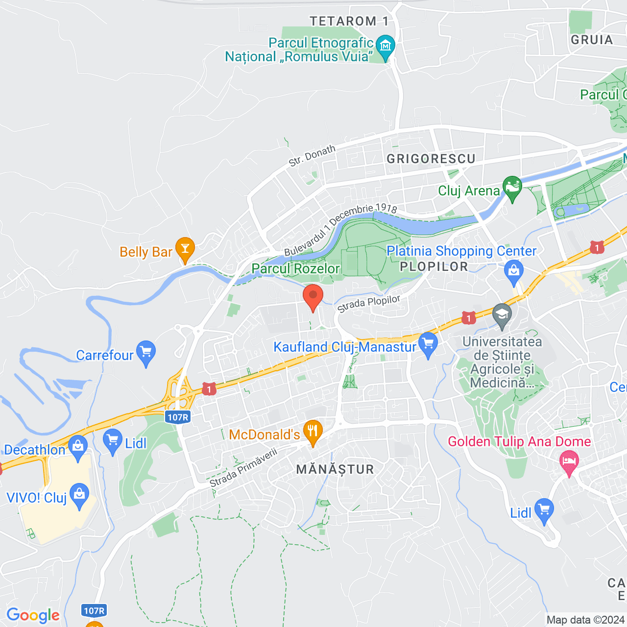 Poza harta streetview, zoom 14, adresa Cluj-Napoca, strada Taberei nr. 4, , judetul