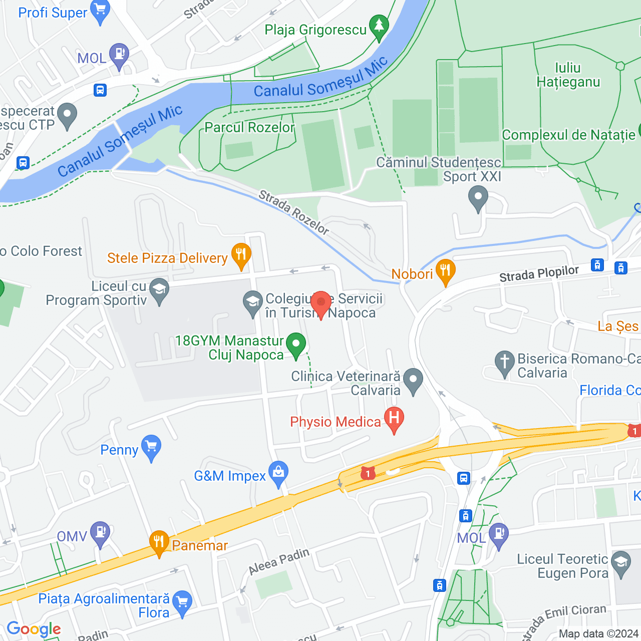 Poza harta streetview, zoom 16, adresa Cluj-Napoca, strada Taberei nr. 4, , judetul