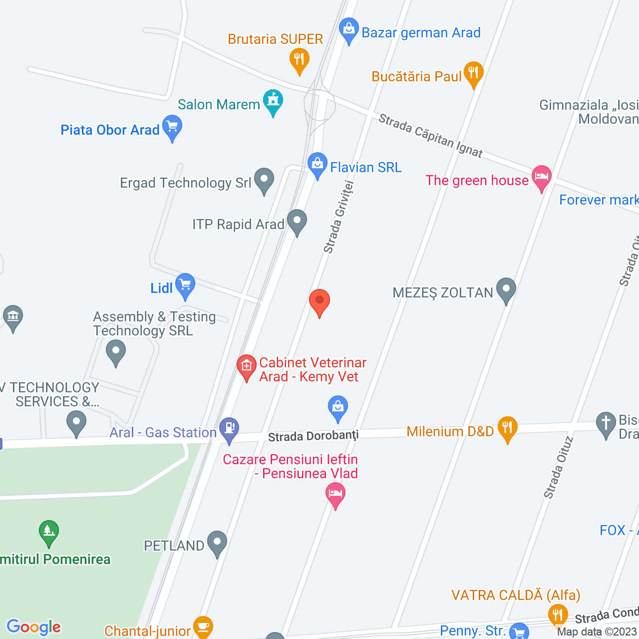 Poza harta streetview, zoom 16, adresa Grivitei 117 Arad, , judetul