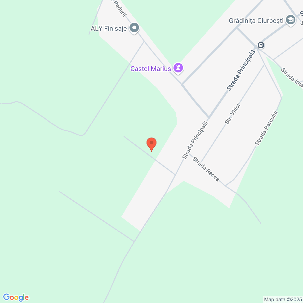 Poza harta streetview, zoom 16, adresa Miroslava Iasi, , judetul