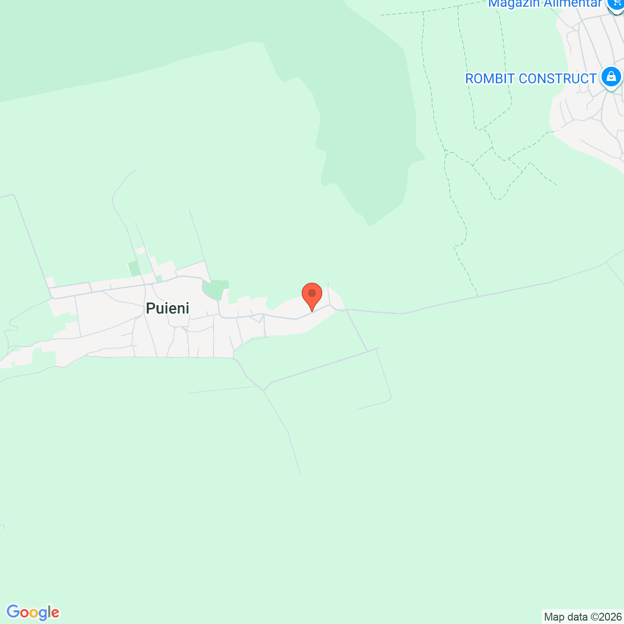 Poza harta streetview, zoom 14, adresa Baneasa, str. Principala nr. 128a, jud. Giurgiu, , judetul