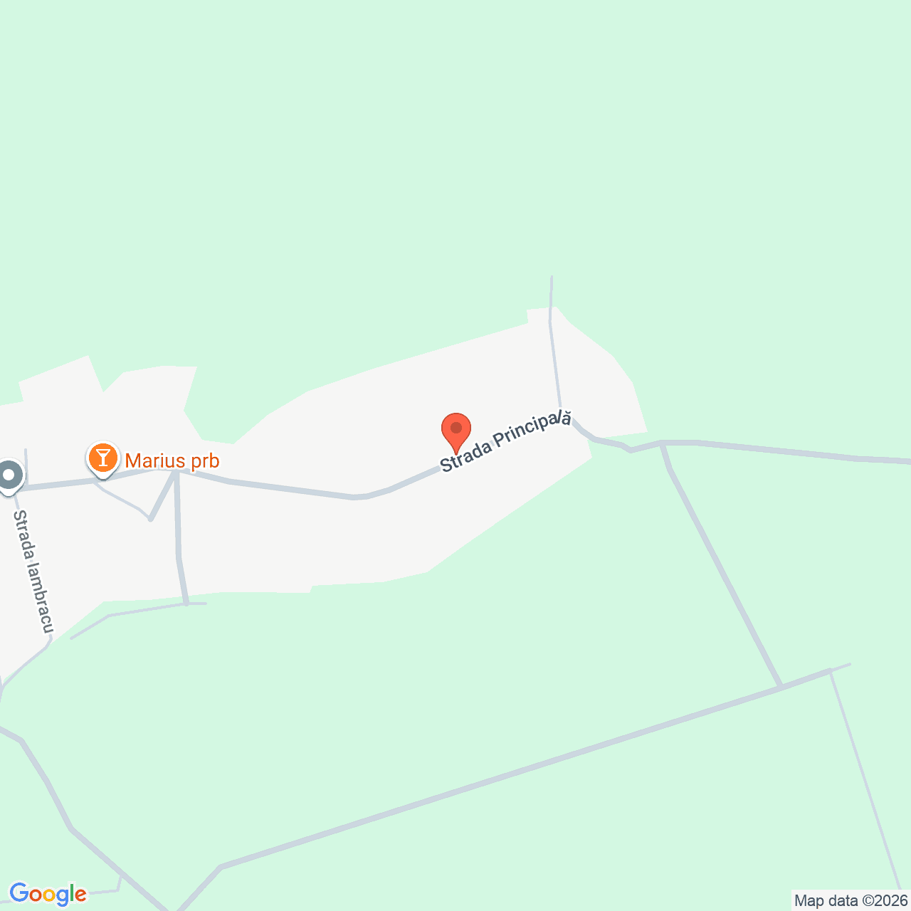 Poza harta streetview, zoom 16, adresa Baneasa, str. Principala nr. 128a, jud. Giurgiu, , judetul