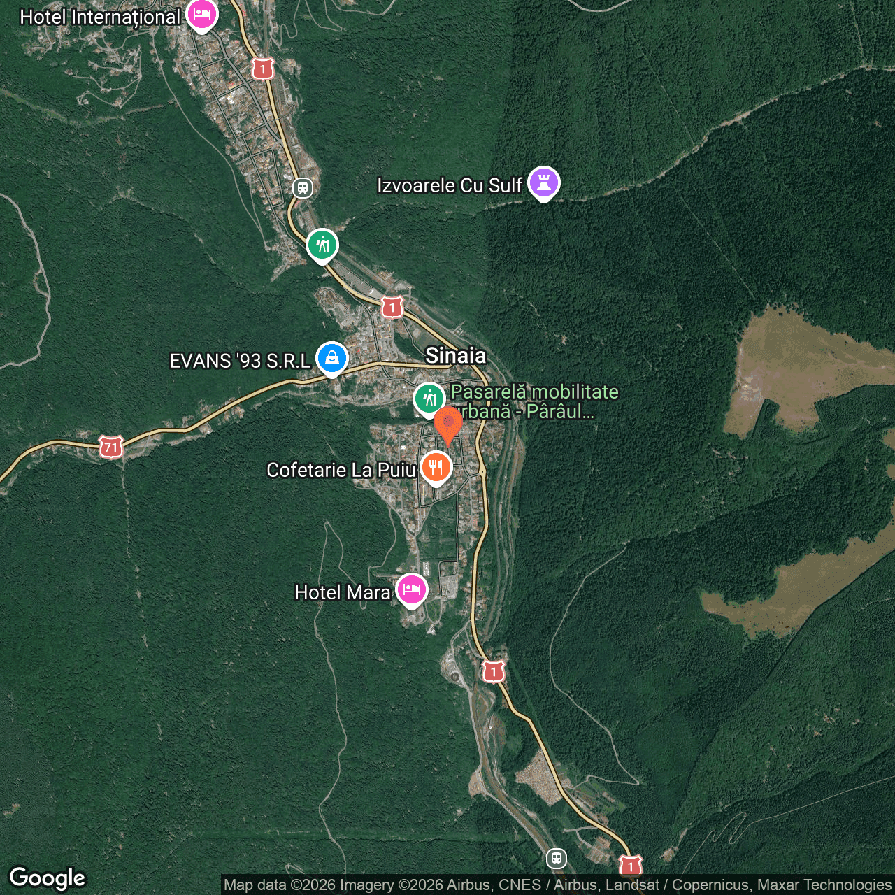Poza harta hybrid, zoom 14, adresa Sinaia, Strada Panselutelor nr. 9, judetul Prahova., , judetul