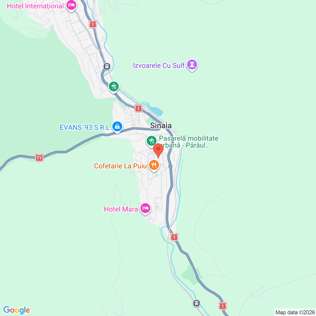 Poza harta streetview, zoom 14, adresa Sinaia, Strada Panselutelor nr. 9, judetul Prahova., , judetul