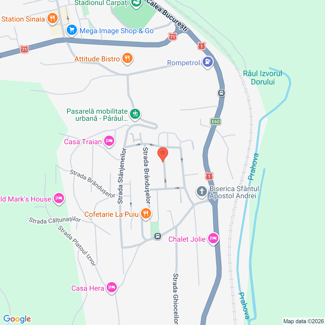 Poza harta streetview, zoom 16, adresa Sinaia, Strada Panselutelor nr. 9, judetul Prahova., , judetul