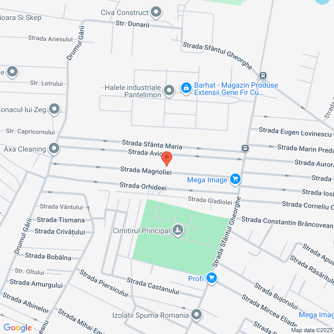 Poza harta streetview, zoom 16, adresa str Magnoliei nr. 36 Pantelimon, , judetul