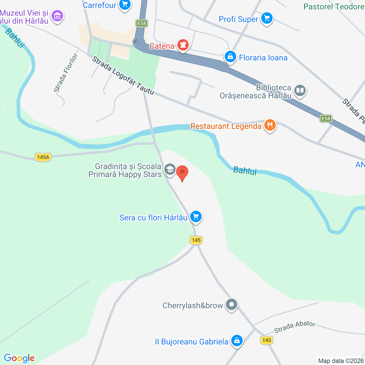 Poza harta streetview, zoom 16, adresa Scobinti Iasi, , judetul