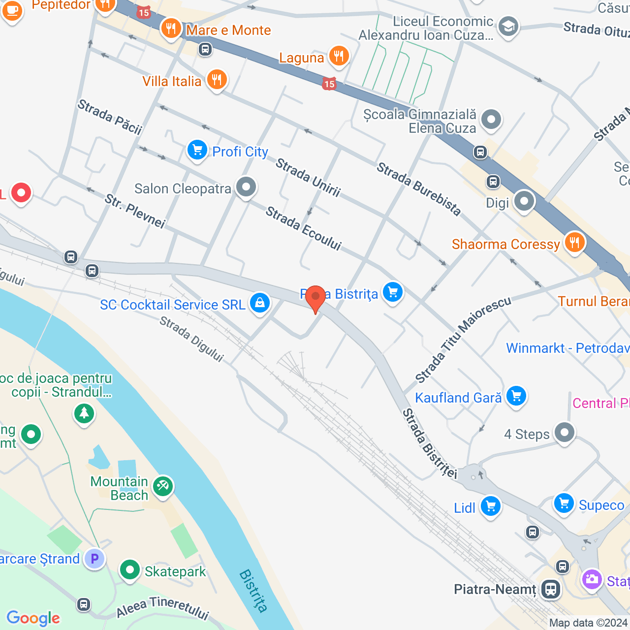 Poza harta streetview, zoom 16, adresa Piatra Neamț, Str. Bistriței nr. 55, , judetul