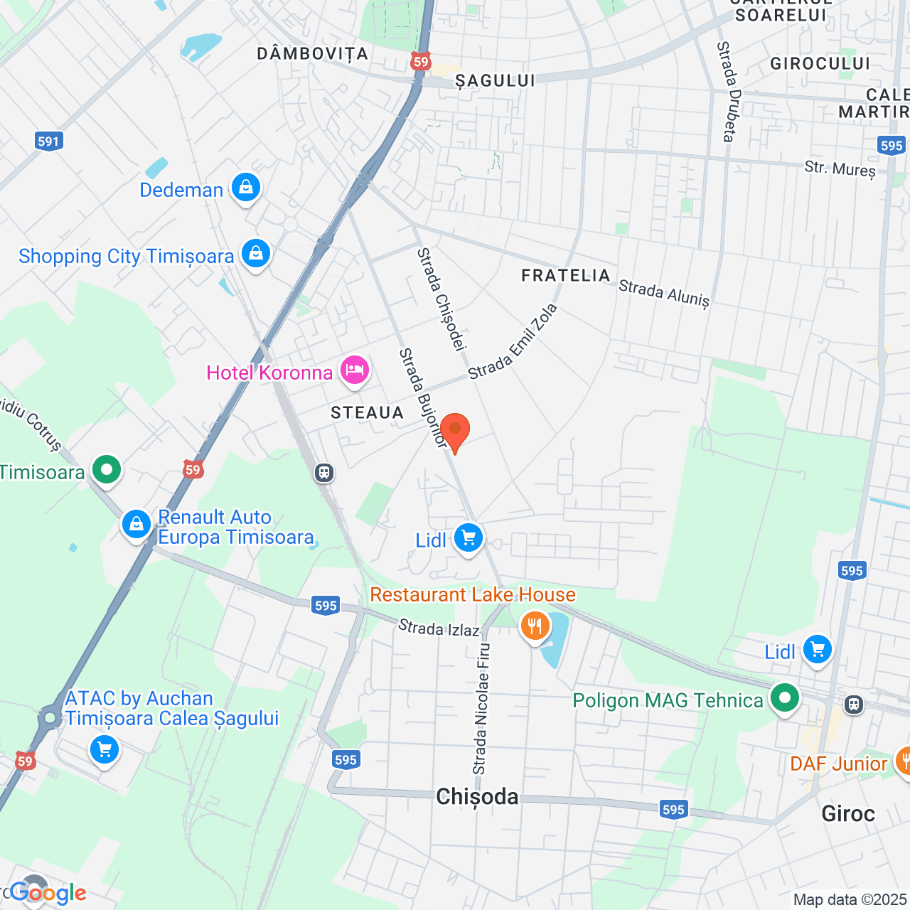 Poza harta streetview, zoom 14, adresa Timisoara, Str. Bujorilor, nr.157, , judetul