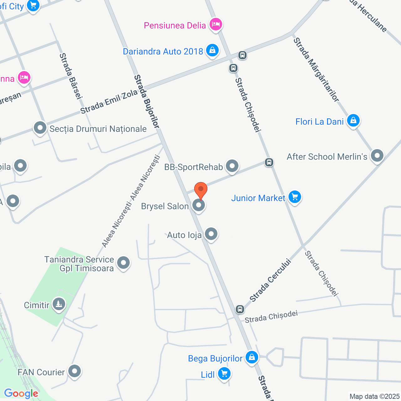 Poza harta streetview, zoom 16, adresa Timisoara, Str. Bujorilor, nr.157, , judetul