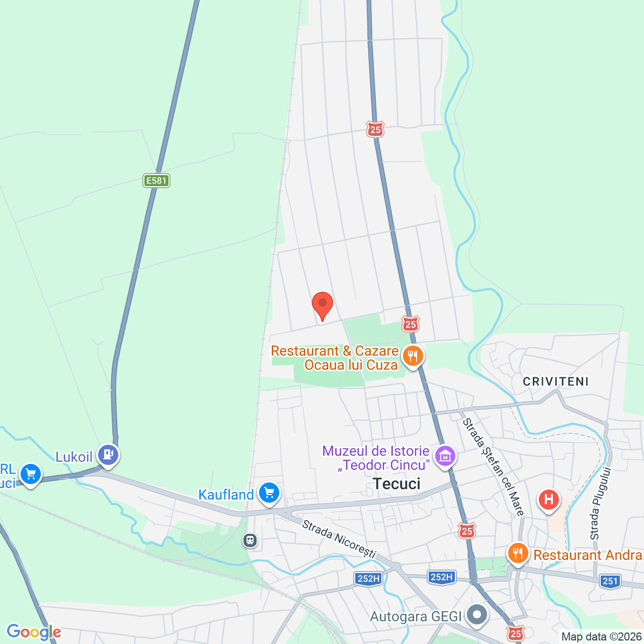 Poza harta streetview, zoom 14, adresa Tecuci, str. Duzilor, nr.11, , judetul