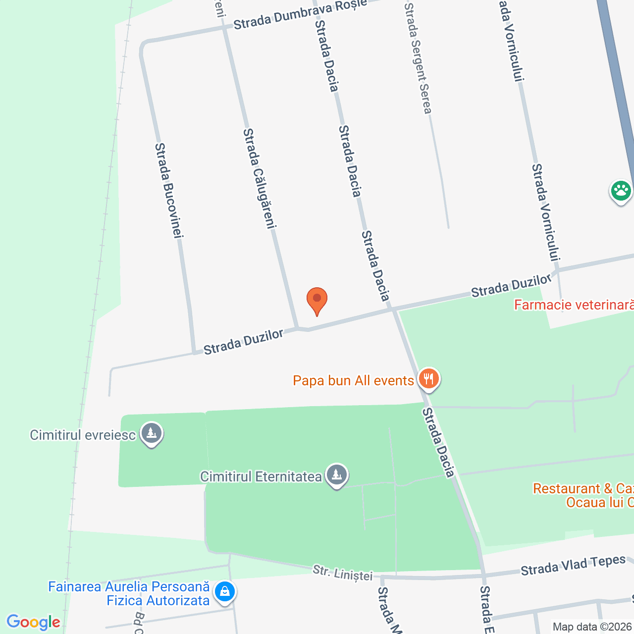 Poza harta streetview, zoom 16, adresa Tecuci, str. Duzilor, nr.11, , judetul