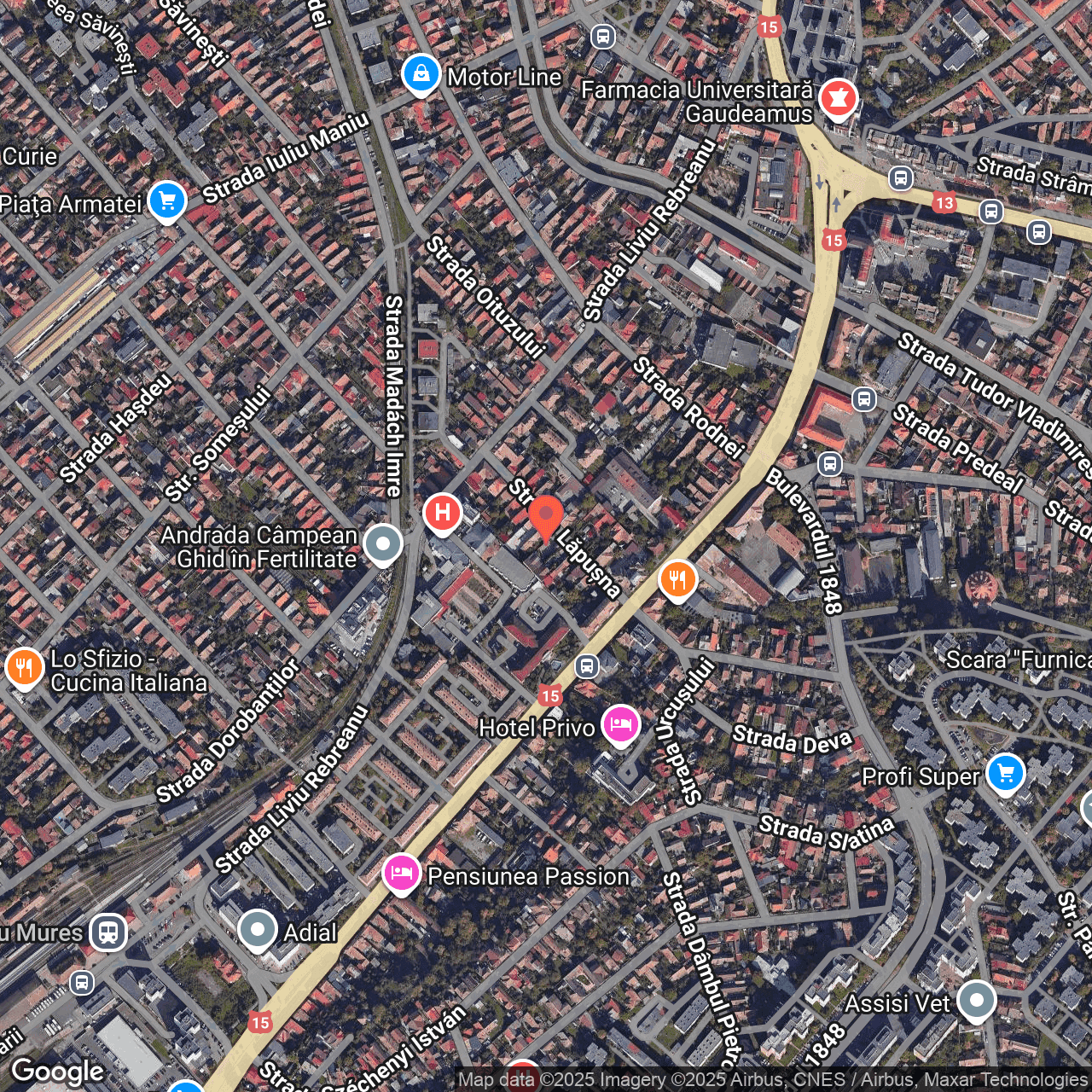 Poza harta hybrid, zoom 16, adresa Târgu Mureș, str. Lăpușna nr. 9, , judetul