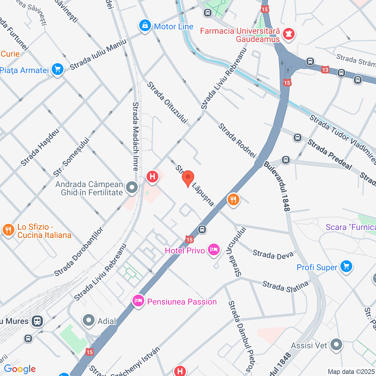 Poza harta streetview, zoom 16, adresa Târgu Mureș, str. Lăpușna nr. 9, , judetul