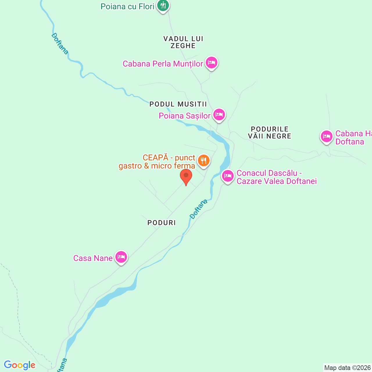 Poza harta streetview, zoom 14, adresa Traisteni, comuna Valea Doftanei jud Prahova, , judetul