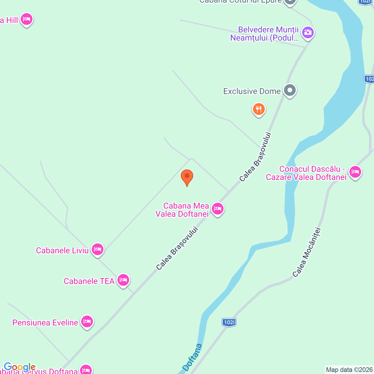 Poza harta streetview, zoom 16, adresa Traisteni, comuna Valea Doftanei jud Prahova, , judetul