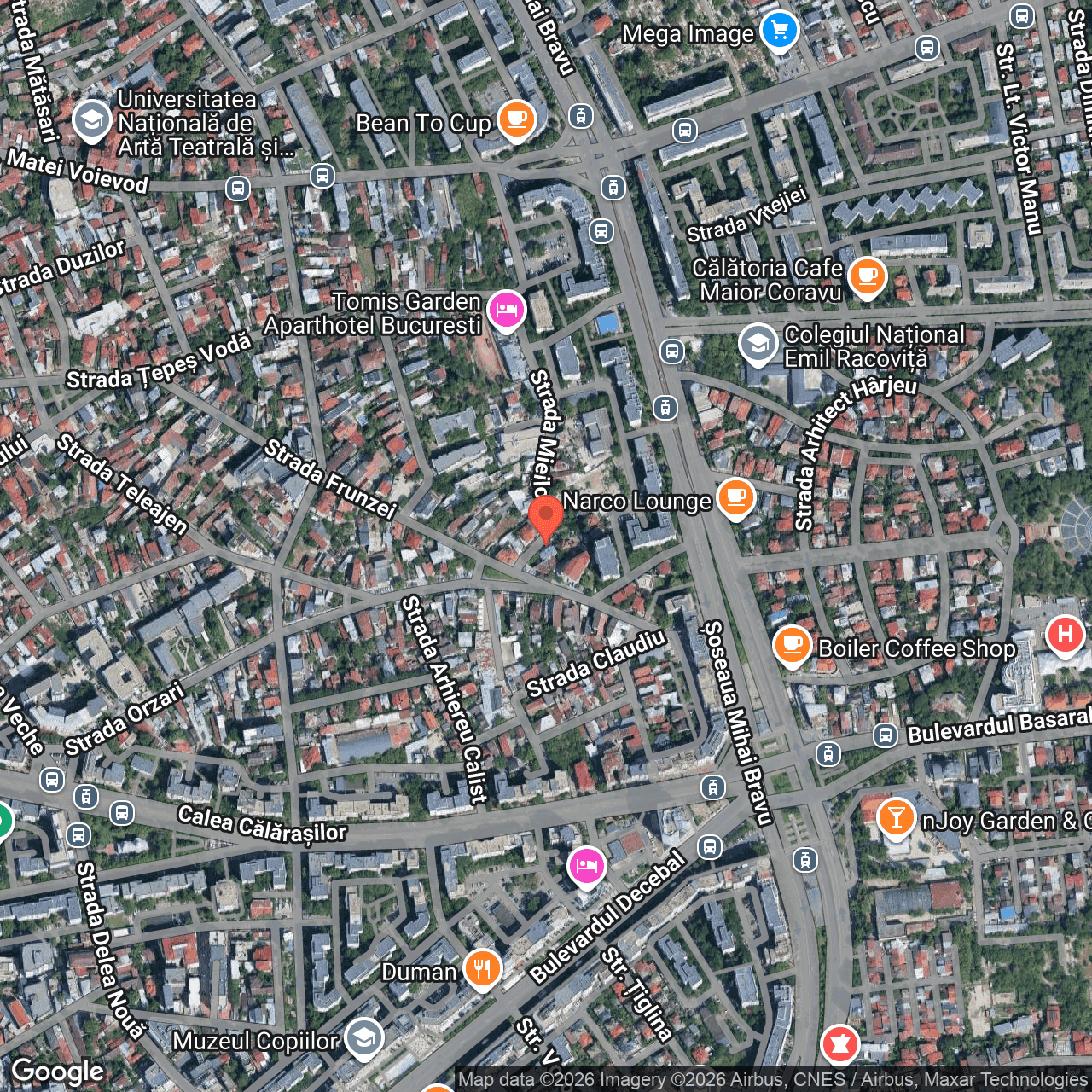 Poza harta hybrid, zoom 16, adresa Strada Mieilor, Bucuresti , , judetul