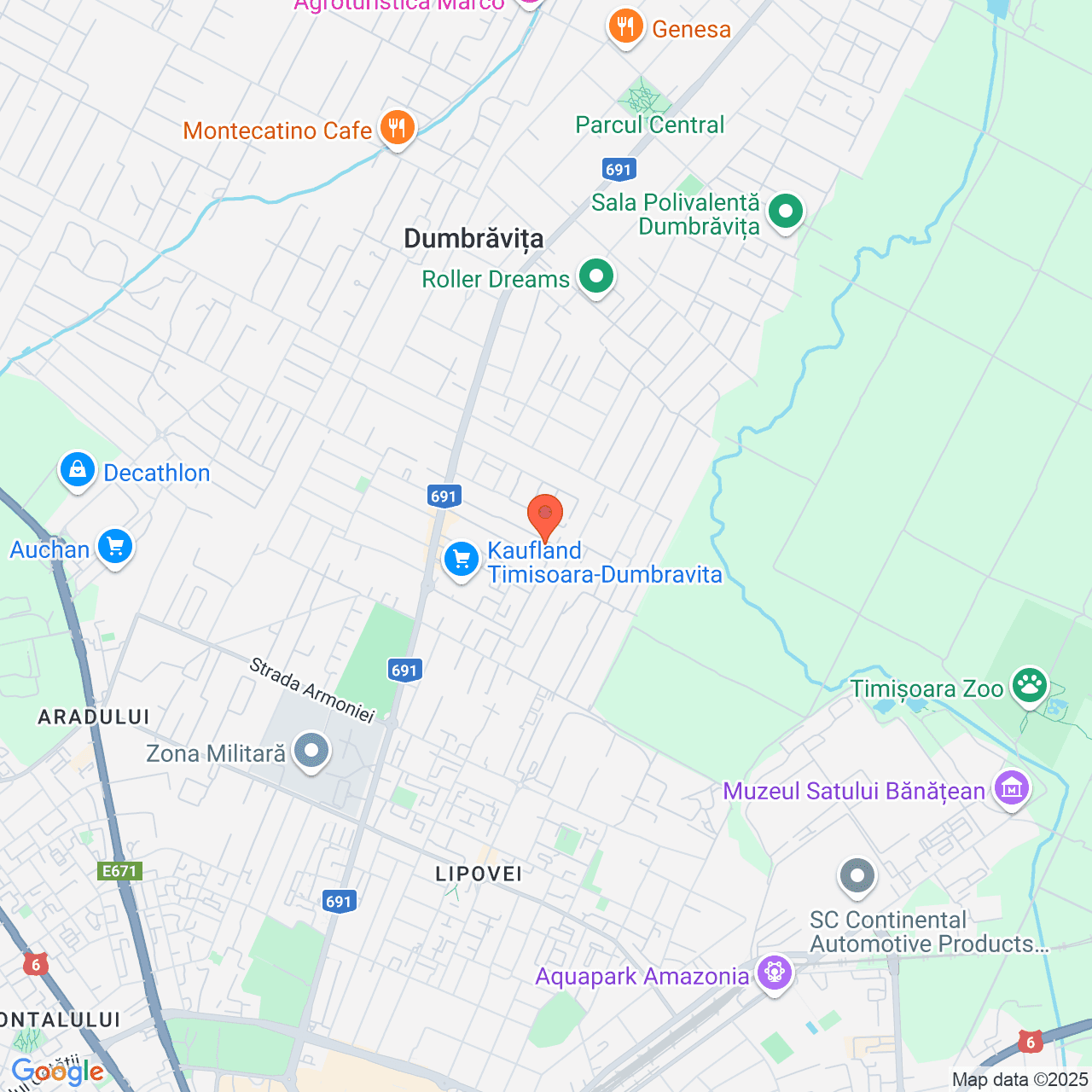 Poza harta streetview, zoom 14, adresa Dumbrăvița, Str Nucului, Nr. 33, , judetul