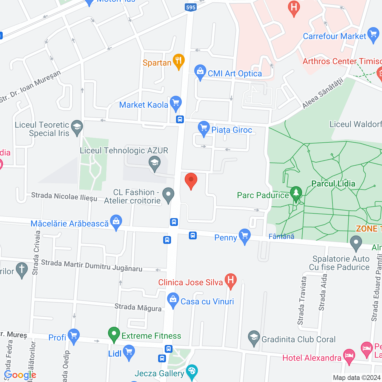 Poza harta streetview, zoom 16, adresa Timișoara, str. Elena Nicoară nr. 16, , judetul