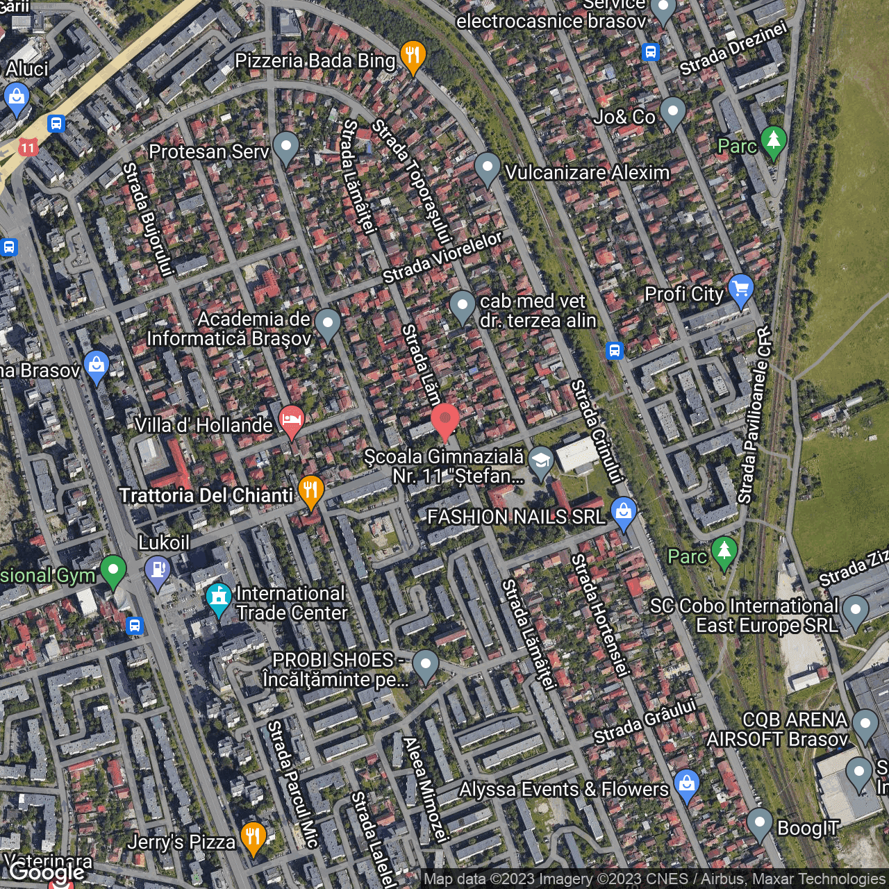 Poza harta hybrid, zoom 16, adresa Branduselor 71 Brasov, , judetul