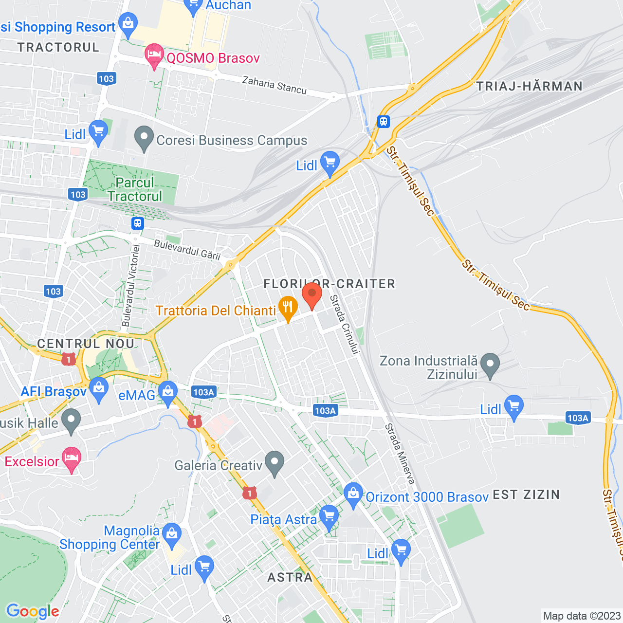 Poza harta streetview, zoom 14, adresa Branduselor 71 Brasov, , judetul