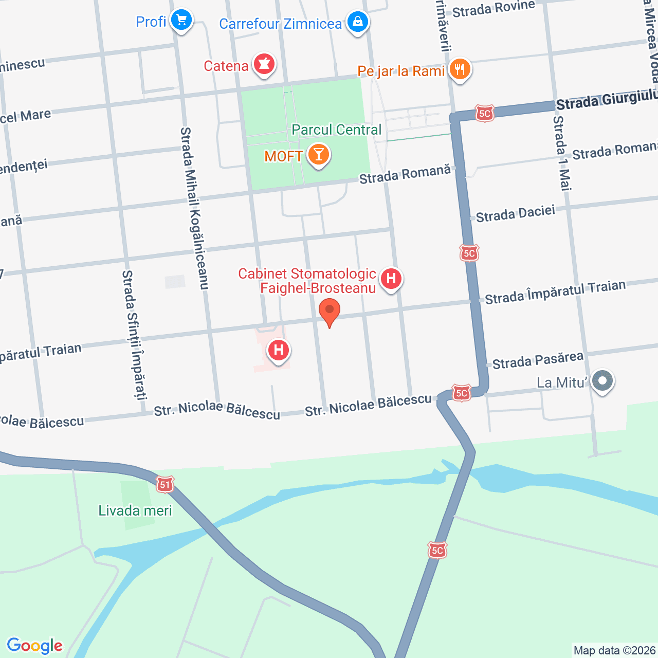 Poza harta streetview, zoom 16, adresa Zimnicea, Str. Trandafirilor nr. 1, , judetul