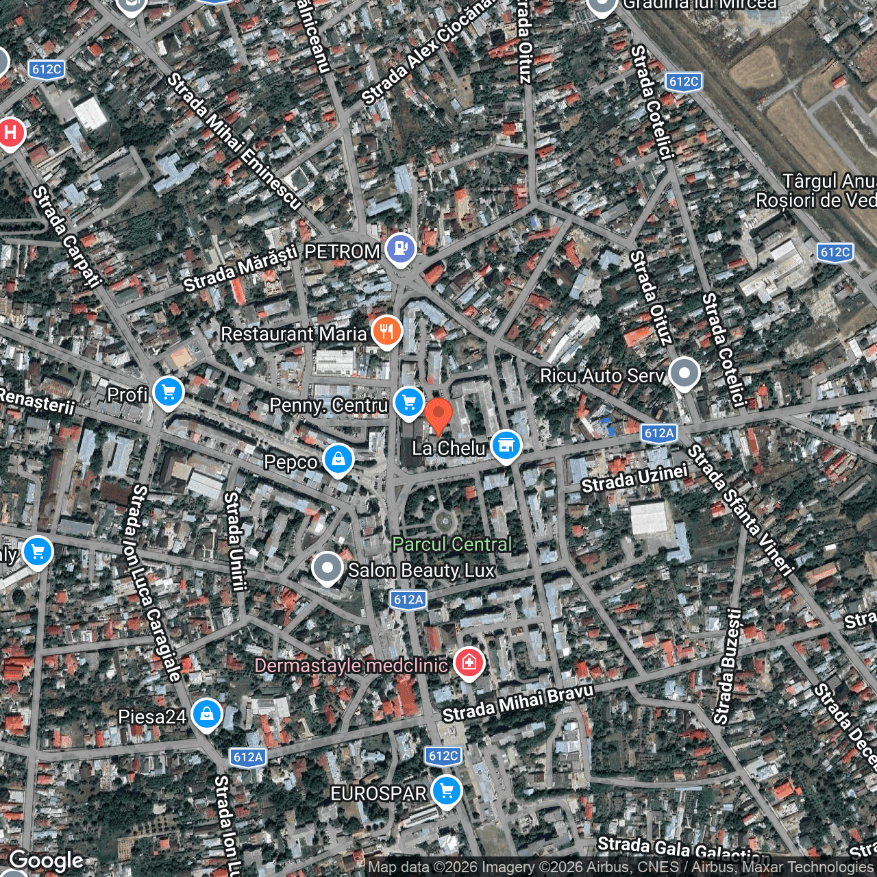 Poza harta hybrid, zoom 16, adresa Rosiorii de Vede Teleorman, , judetul