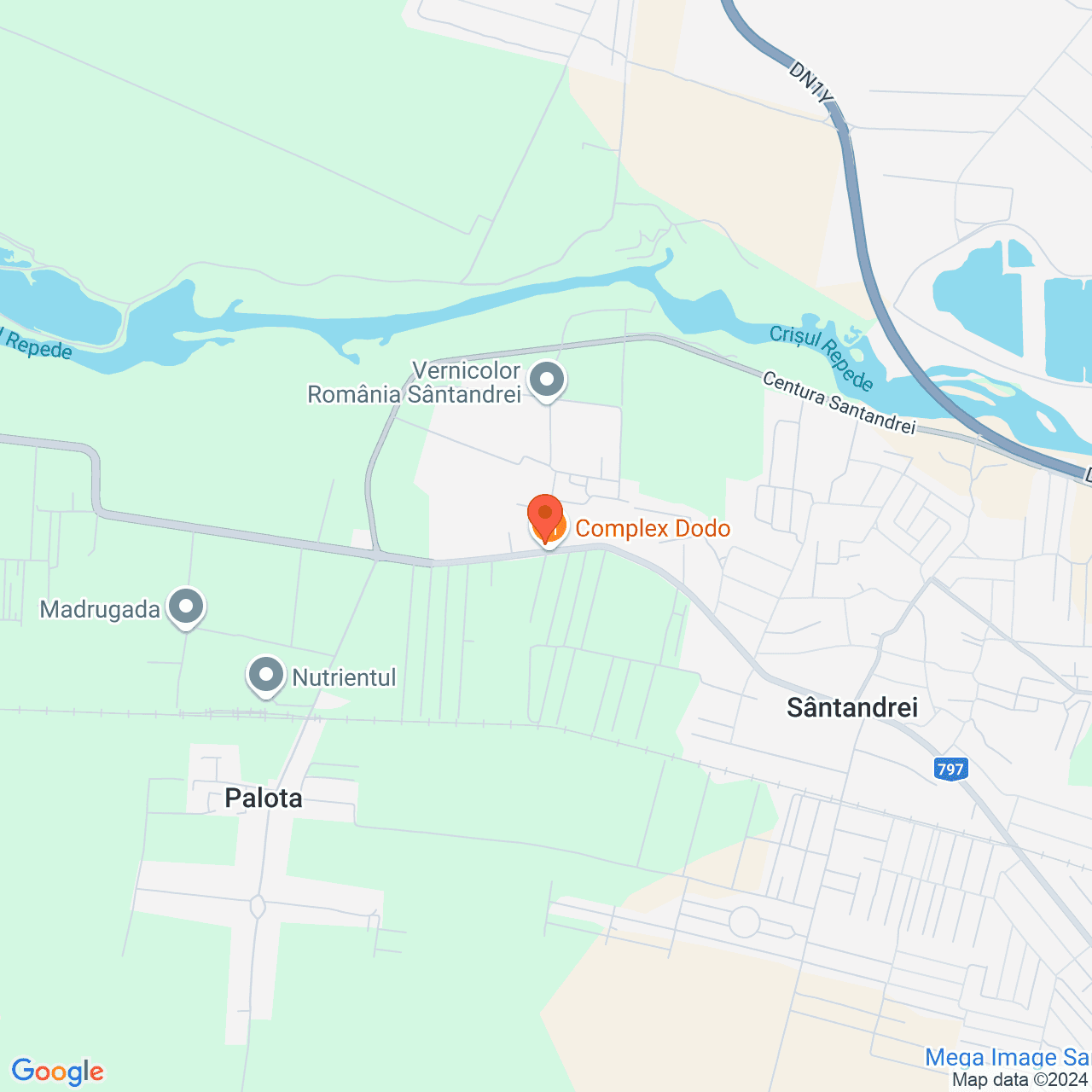 Poza harta streetview, zoom 14, adresa Santandrei Bihor, , judetul