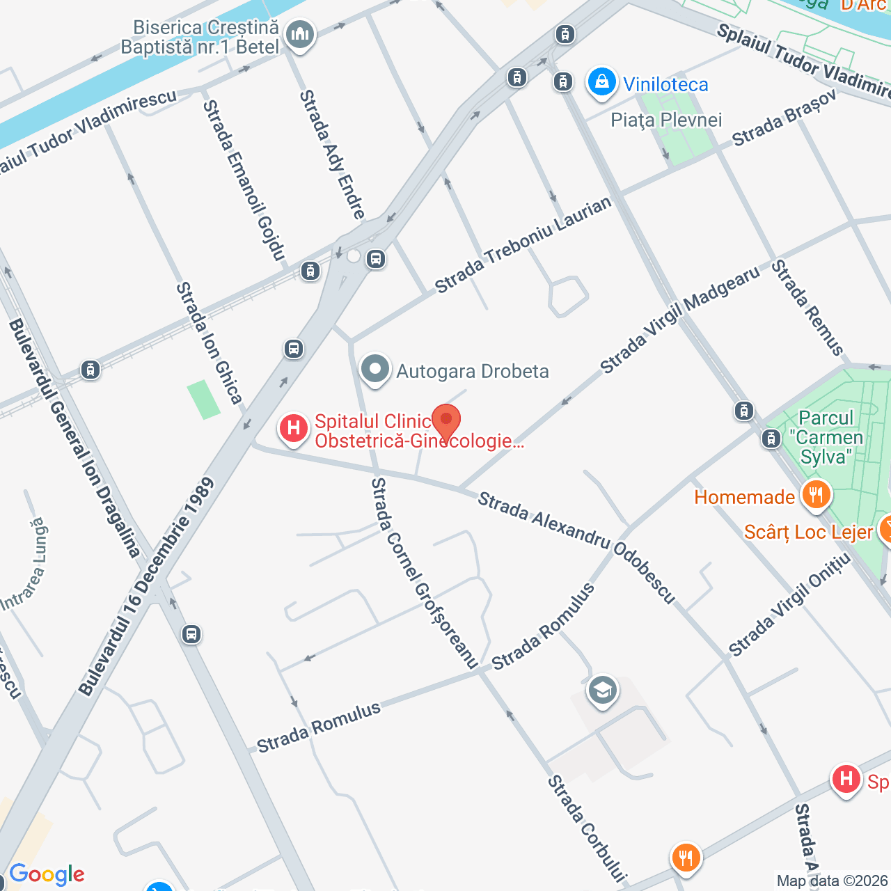 Poza harta streetview, zoom 16, adresa str. Odobescu nr. 13, Timișoara., , judetul